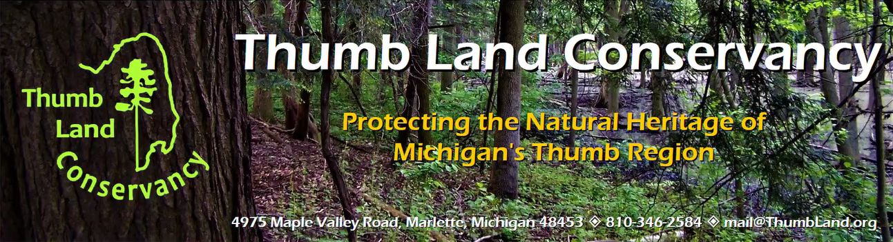 Thumbland Conservancy